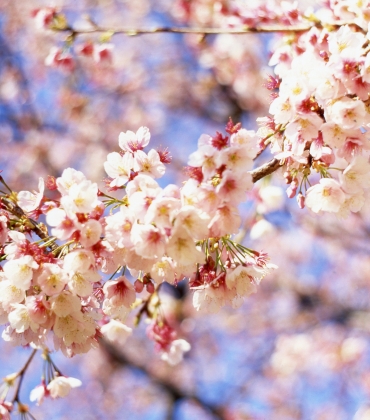 График работы в праздники