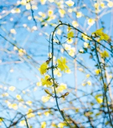 График работы в праздники