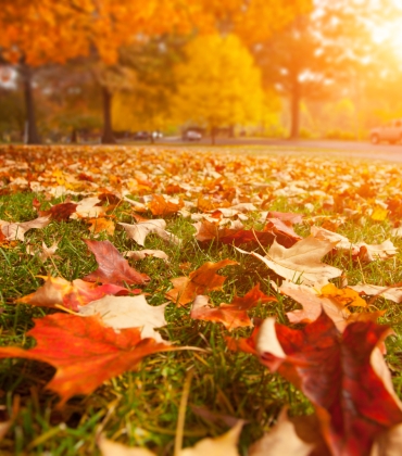 Работа магазина на Профсоюзной