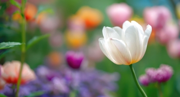 График работы на майские праздники