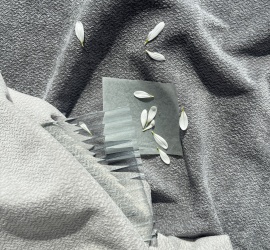 Коллекция Pulse